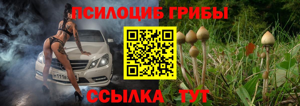 Псилоцибиновые грибы Psilocybe Изобильный